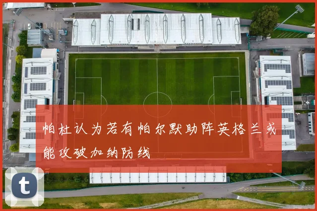 帕杜认为若有帕尔默助阵英格兰或能攻破加纳防线